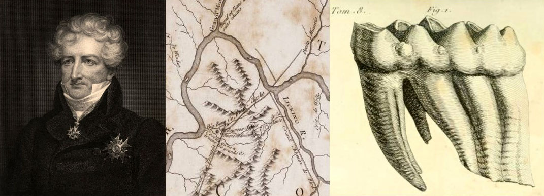 Georges Cuvier studied fossilized bones from Big Bone Lick and other parts of the world, using the bones to define and interpret mastodons as a type of extinct elephant. Georges Cuvier by James Thompson, c. 1800 engraving, Smithsonian libraries image. Part of Filson’s (1785) map of the Ohio River, showing Big Bone Lick, from Lafon Allen Maps Collection, University of Louisville, Louisville, Ky. Drawing of a mastodon molar from Big Bone Lick in Cuvier’s 1806 manuscript on mastodons.